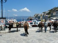 ギリシャ旅行　エーゲ海の島巡りミニクルーズ1日ツアー