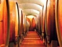 イタリア旅行　【プライベートツアー】モンタルチーノのワインと銘柄チーズのグルメツアー！