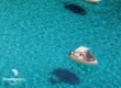 イタリア旅行ツアー　地上の楽園ランペドゥーサ島と世界遺産のシチリア・ローマでの休日8日間
