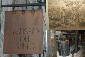 イタリア旅行・ツアー　トルジャーノのワイン博物館　Museo del Vino　イメージ