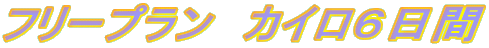 �t���[�v�����@�J�C���U����
