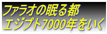 �t�@���I�̖���s
�G�W�v�g7000�N������