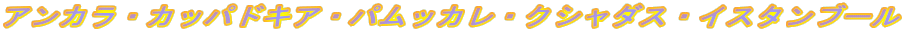 �A���J���E�J�b�p�h�L�A�E�p���b�J���E�N�V���_�X�E�C�X�^���u�[��
