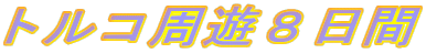 �g���R���V�W����
