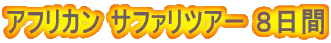 アフリカン サファリツアー 8日間
