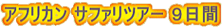 アフリカン サファリツアー 9日間
