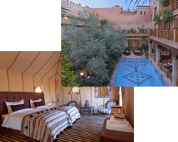 写真 ラ・メゾン・アラベ / LA MAISON ARABE