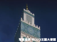 モロッコ旅行 カサブランカ終日観光(英語ガイド)