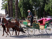 モロッコ旅行　少し時間を優雅に過ごす馬車観光