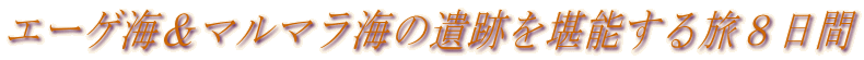�G�[�Q�C���}���}���C�̈�Ղ����\���闷�W����