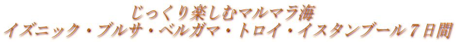 �@�@�@�@�@�@�@�@��������y���ރ}���}���C
�C�Y�j�b�N�E�u���T�E�x���K�}�E�g���C�E�C�X�^���u�[���V����