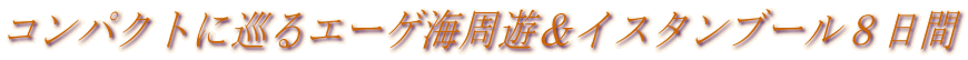 �R���p�N�g�ɏ���G�[�Q�C���V���C�X�^���u�[���W����