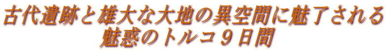 �Ñ��ՂƗY��ȑ�n�ً̈�Ԃɖ��������
�@���f�̃g���R�X����
