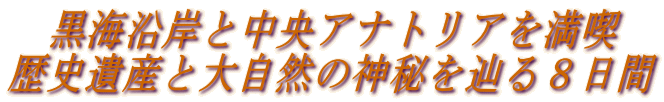   ���C���݂ƒ����A�i�g���A�𖞋i
���j��Y�Ƒ厩�R�̐_���H��W����