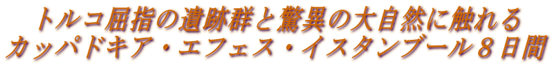 �@�g���R���w�̈�ՌQ�Ƌ��ق̑厩�R�ɐG���
�J�b�p�h�L�A�E�G�t�F�X�E�C�X�^���u�[���W����