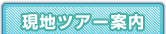 ���n�c�A�[�ē�