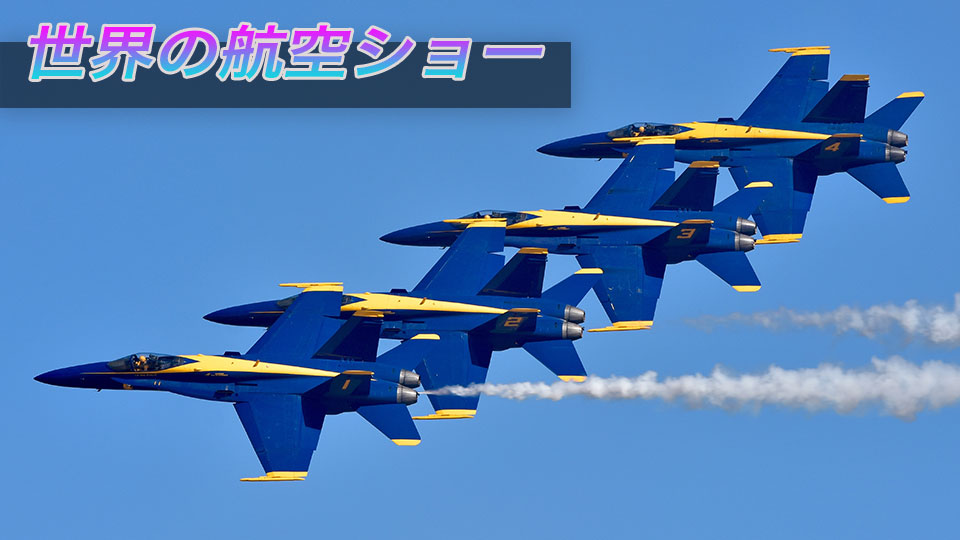 世界の航空ショー