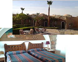 写真 セティ・ファースト