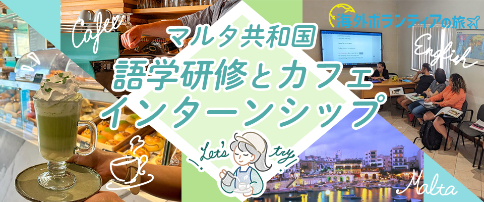 マルタ共和国 猫の保護活動ボランティア