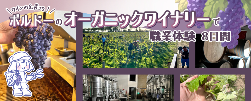 フランス オーガニックワイナリーで働くボルドーとパリ滞在8日間