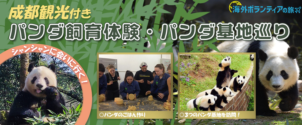 中国 ジャイアントパンダ保護活動と四川料理体験5日間