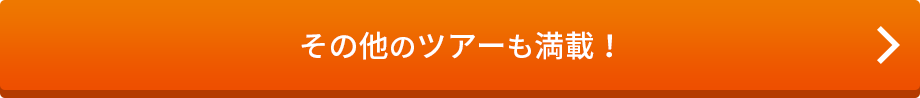 その他のインドおすすめコース