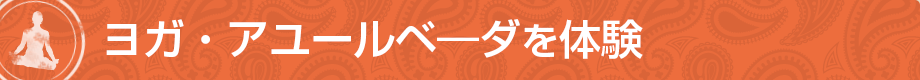 ヨガ・アユールベ―ダを体験
