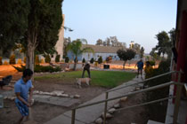 クリケットを楽しむ