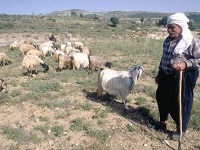 イスラエル旅行 ベツレヘム半日観光