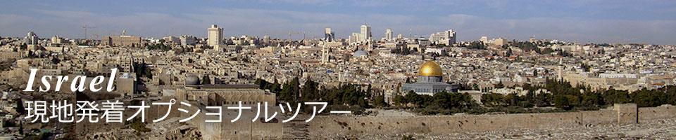 イスラエル 現地発オプショナルツアー一覧