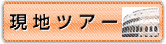 現地ツアー