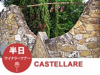 イタリア旅行　【プライベートツアー】無農薬で伝統にこだわるカステッラーレを訪問する、半日ワイナリーツアー！（半日、日本語アシスタント）