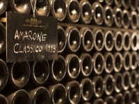 イタリア旅行 ミラノから行くヴェネトのアマローネ、ヴァルポリチェッラのワイナリーツアー(終日、日本語ガイド、試飲料1回)