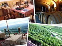 イタリア旅行 ビエモンテ州の美味しいワインをじっくりと味わうスペシャルワイナリーツアー(終日、日本語ガイド)