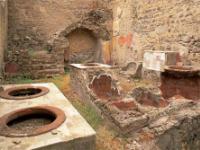 イタリア旅行　【プライベートツアー】ポンペイ遺跡とヘルクラネウム遺跡ツアー（終日、日本語ガイド）