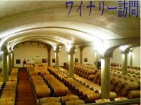 イタリア旅行 マルサラの二大ワイナリー(ドンナフガータ、フローリオ)と塩田博物館訪問