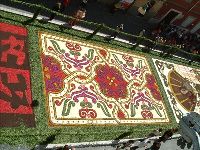 イタリア旅行 ジェンツァーノ花祭り(インフィオラータ)見学ツアー【5月29日(日)限定】(午前、日本語アシスタント)
