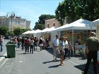 イタリア旅行 ジェンツァーノ花祭り(インフィオラータ)見学ツアー【5月29日(日)限定】(午前、日本語アシスタント)