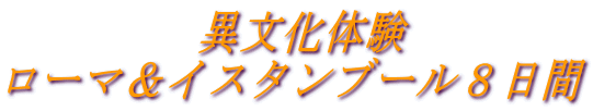 異文化体験 ローマ&イスタンブール8日間