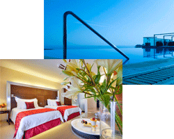 写真 ザ パレスホテル