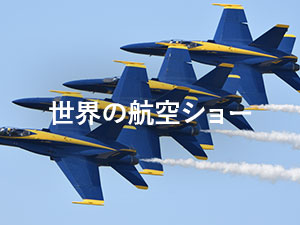 世界の航空ショー
